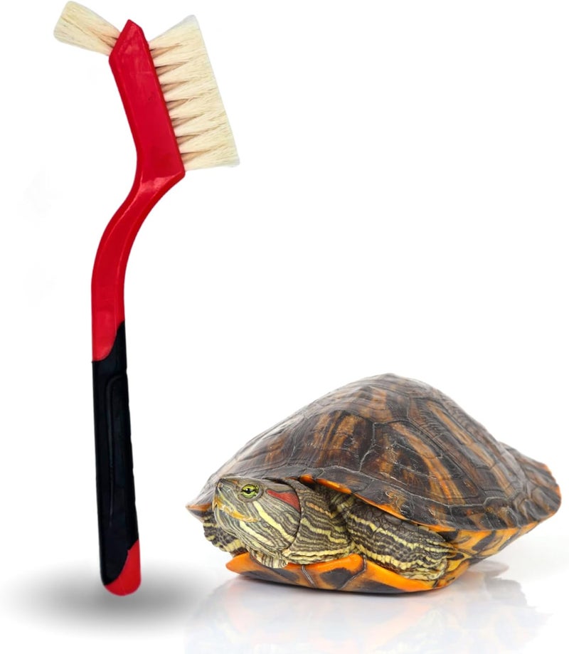 Snout and Shell Turtle Cleaning Brush - Gently Remove Dirt from Turtles and Tortoises - Red by - Image 1